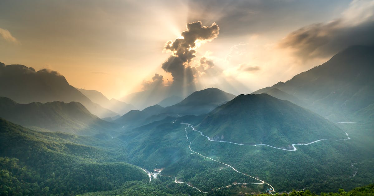 Terasă verde — hidroizolația corectă pentru acoperișuri verzi